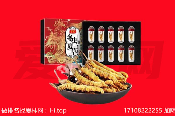 屯昌回收虫草.jpg